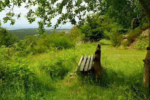 青春风暴 青春风暴