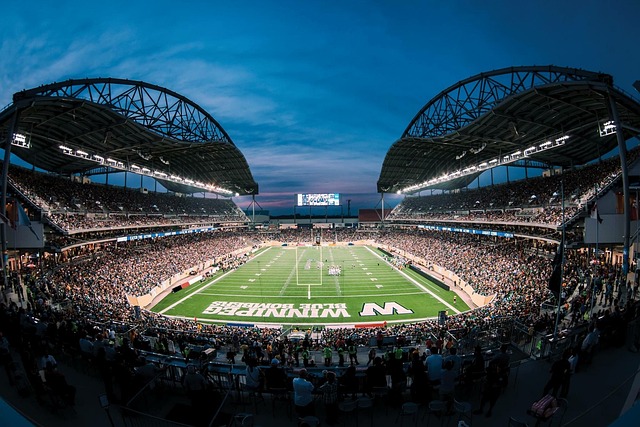 直接帮助皇 直接帮助皇