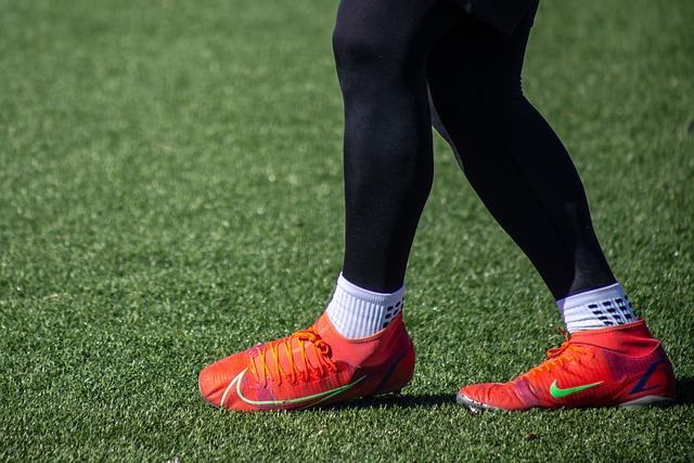 语言不仅是 语言不仅是