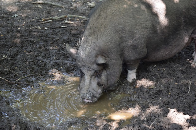 他凭借一次 他凭借一次